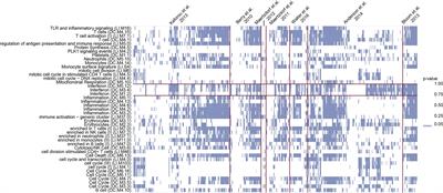 Gene Set Enrichment Analysis Reveals Individual Variability in Host Responses in Tuberculosis Patients